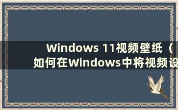 Windows 11视频壁纸（如何在Windows中将视频设置为动态壁纸）
